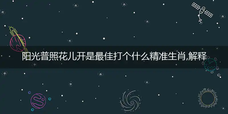 阳光普照花儿开是最佳打个什么精准生肖,解释落实成