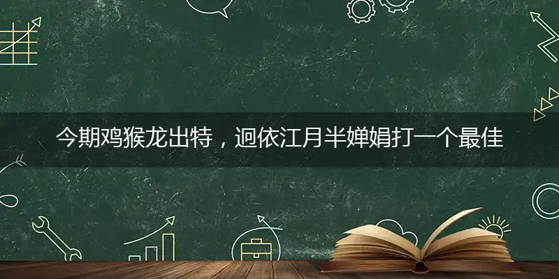 今期鸡猴龙出特,迥依江月半婵娟