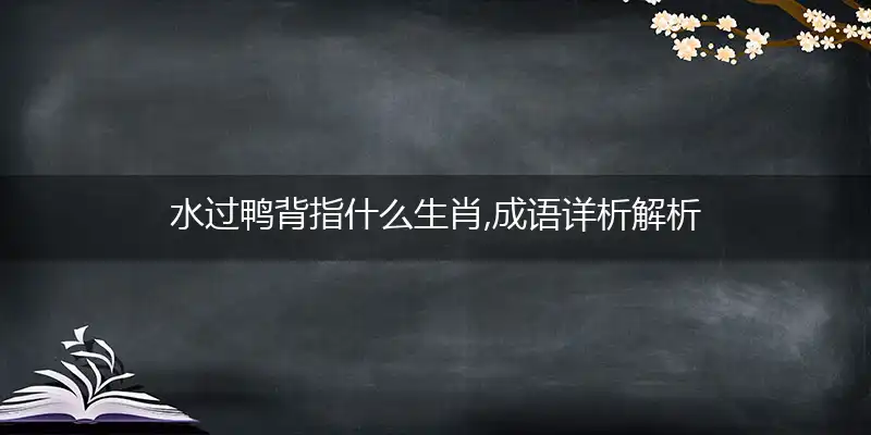 水过鸭背指什么生肖,成语详析解析