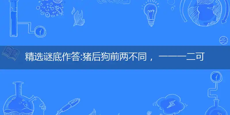 精选谜底作答:猪后狗前两不同， 一一一二可相寻打个最佳准确生肖,优先词语解释释义