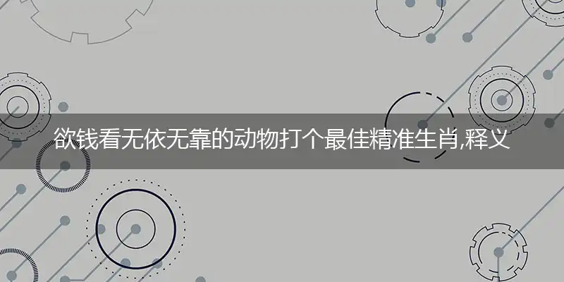 欲钱看无依无靠的动物打个最佳精准生肖,释义谜语解释剖析