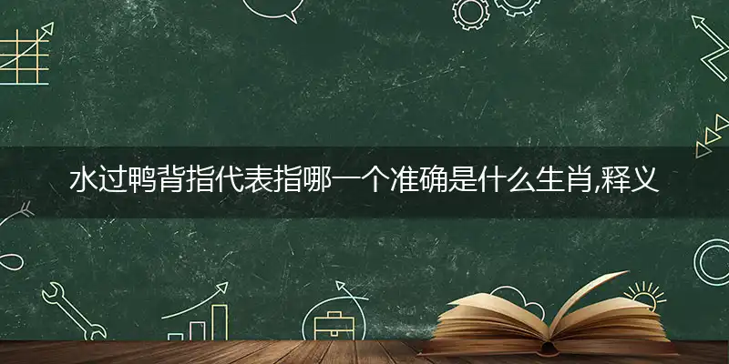 水过鸭背指代表指哪一个准确是什么生肖,释义最佳完美词语解析