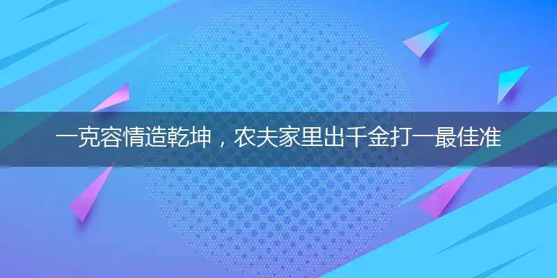 一克容情造乾坤，农夫家里出千金打一最佳准确哪个生肖,释义成语精准解读