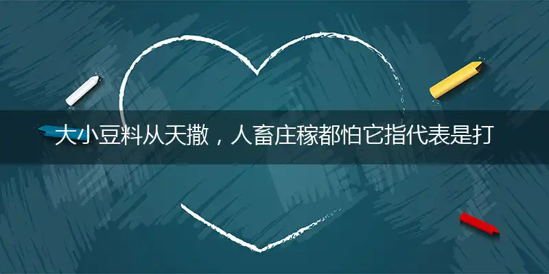 大小豆料从天撒，人畜庄稼都怕它指代表是打猜哪一个准确生肖,独家奇问词语解释释义