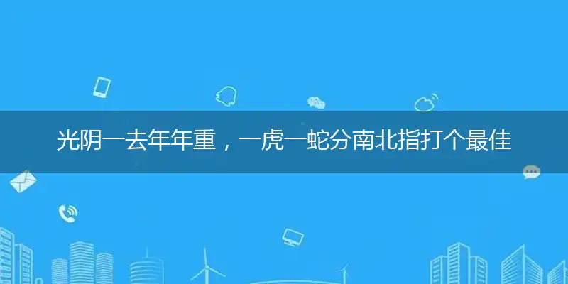 光阴一去年年重,一虎一蛇分南北