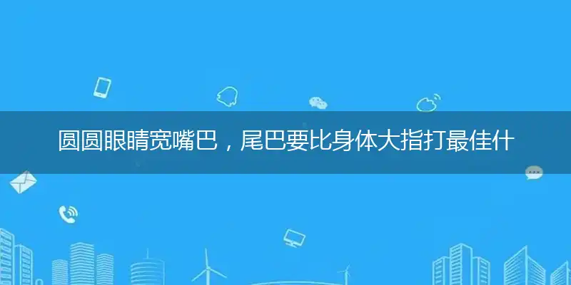 圆圆眼睛宽嘴巴，尾巴要比身体大指打优媒谜语赏析解释