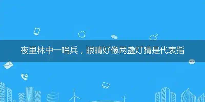 夜里林中一哨兵，眼睛好像两盏灯猜是代表指指一个最佳准确生肖,正确解哪一个词语精选解释释义