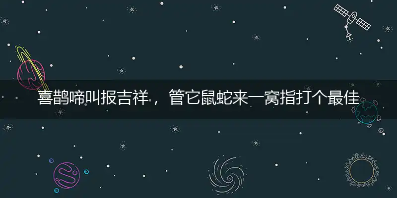 喜鹊啼叫报吉祥, 管它鼠蛇来一窝