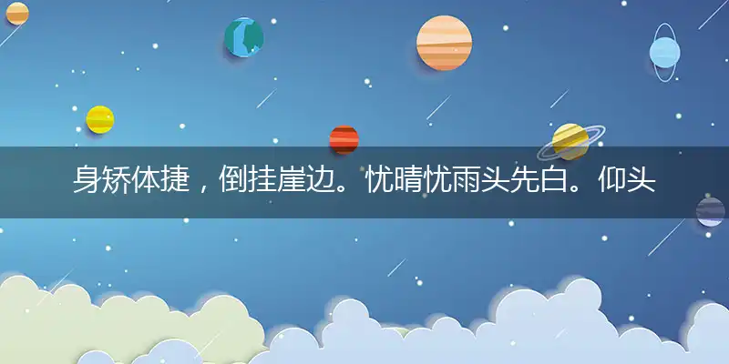 身矫体捷,倒挂崖边。忧晴忧雨头先白。仰头作怪,戏弄于人。庭影离离正堪玩