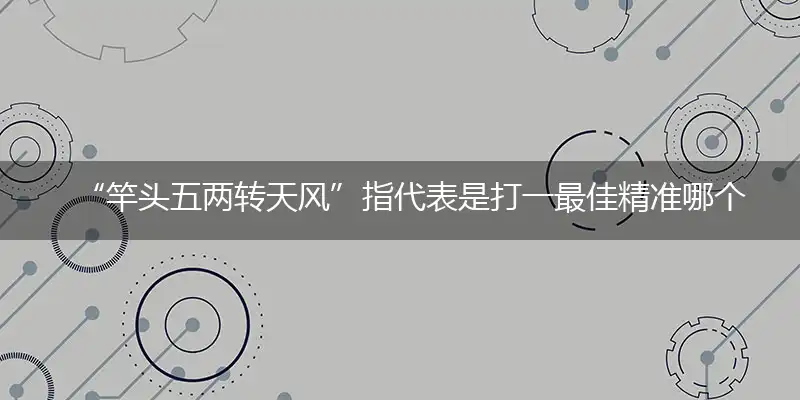 竿头五两转天风