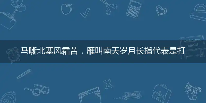 马嘶北塞风霜苦,雁叫南天岁月长