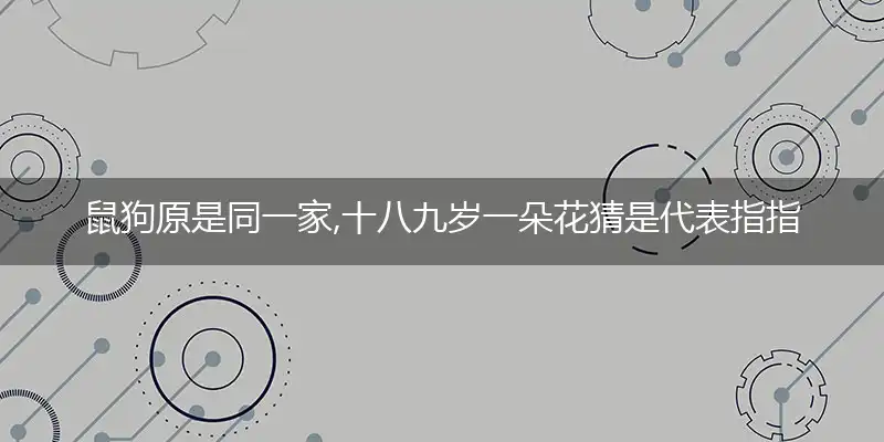 鼠狗原是同一家,十八九岁一朵花