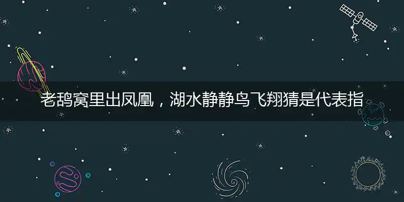 老鸹窝里出凤凰,湖水静静鸟飞翔
