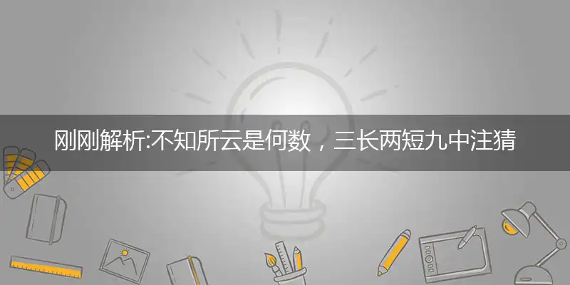 不知所云是何数,三长两短九中注
