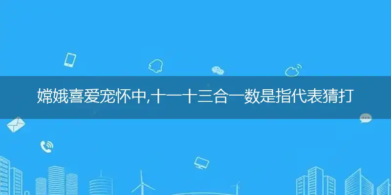 嫦娥喜爱宠怀中,十一十三合一数