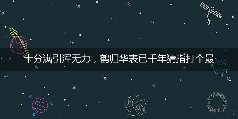十分满引浑无力,鹤归华表已千年