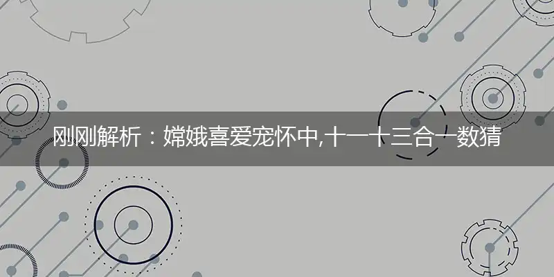 嫦娥喜爱宠怀中,十一十三合一数