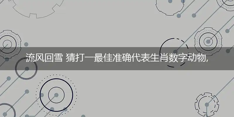 流风回雪 猜打一最佳准确代表生肖数字动物,解析独家哪一个词语精选解释释义
