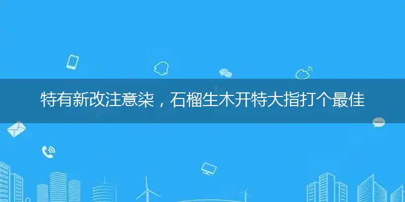特有新改注意柒，石榴生木开特大独家词语解释解析