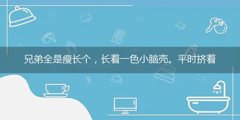 兄弟全是瘦长个,长着一色小脑壳。平时挤着不吭声,出门办事就万火