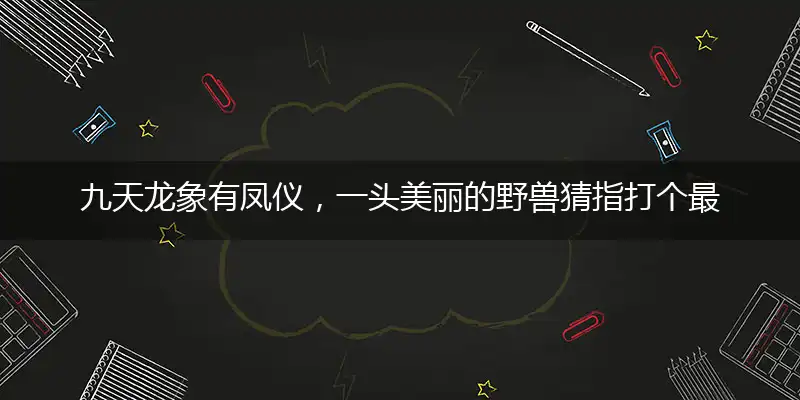 九天龙象有凤仪,一头美丽的野兽