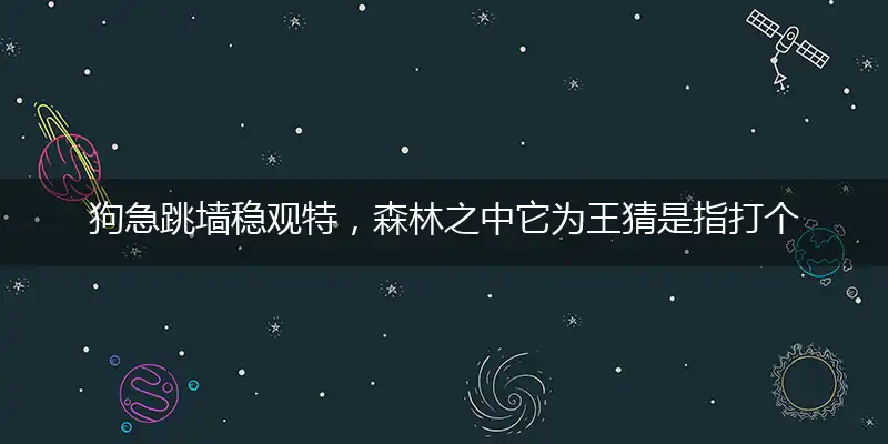 狗急跳墙稳观特,森林之中它为王