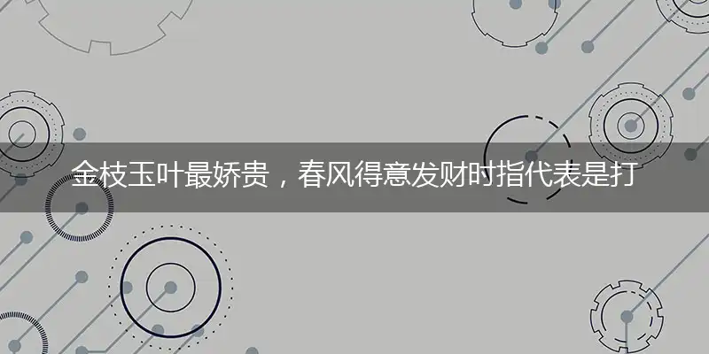 金枝玉叶最娇贵，春风得意发财时精选释义解释落实