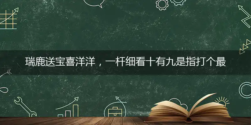 瑞鹿送宝喜洋洋,一杆细看十有九