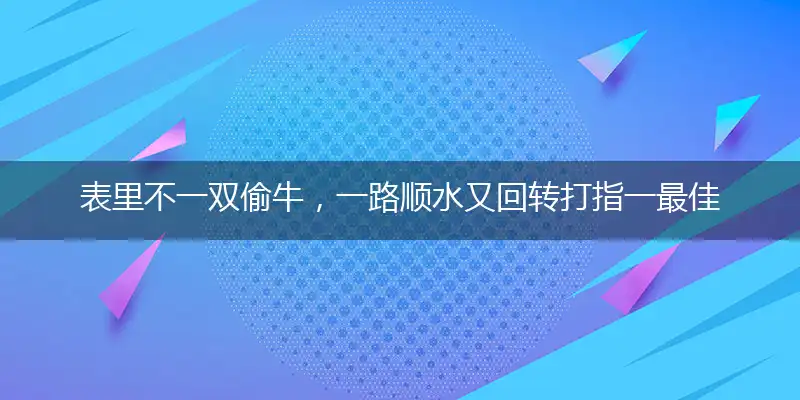 表里不一双偷牛，一路顺水又回转打指一最佳最佳生肖,独家释义词语解释!