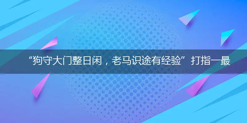 “狗守大门整日闲，老马识途有经验”打指一最佳最佳生肖,独家释义词语解释!