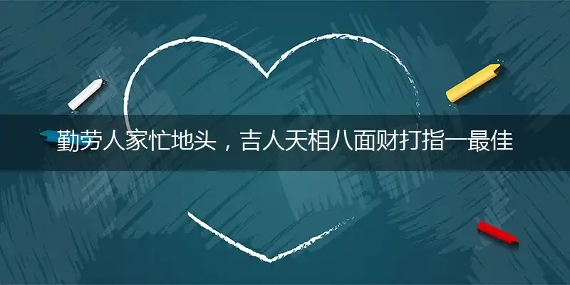 勤劳人家忙地头，吉人天相八面财打指一最佳最佳生肖,独家释义词语解释!