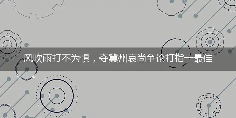风吹雨打不为惧，夺冀州哀尚争论打指一最佳最佳生肖,独家释义词语解释!