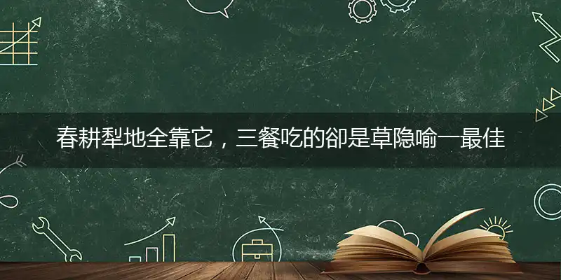 春耕犁地全靠它，三餐吃的卻是草隐喻一最佳生肖,独家释义词语解释!