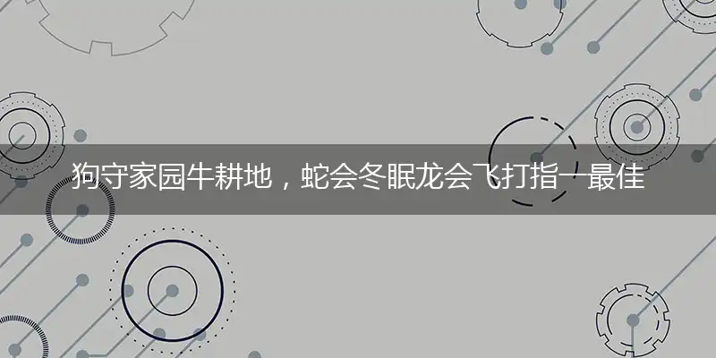 狗守家园牛耕地，蛇会冬眠龙会飞打指一最佳最佳生肖,独家释义词语解释!