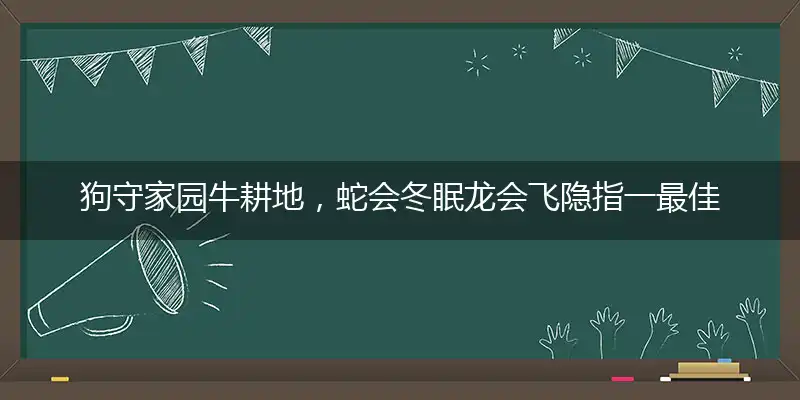 狗守家园牛耕地，蛇会冬眠龙会飞精准准确最佳正确解释