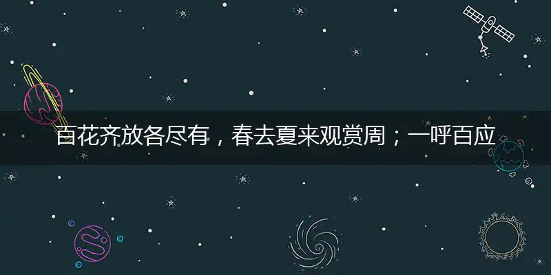 百花齐放各尽有，春去夏来观赏周；一呼百应声声传，五湖四海游走龙词语解释落实