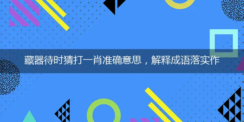 藏器待时猜打一肖准确意思，解释成语落实作答