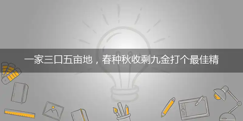一家三口五亩地，春种秋收剩九金词语精选作答解释