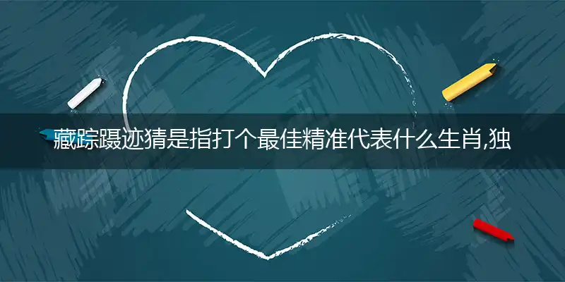 藏踪蹑迹词语解释剖析作答落实