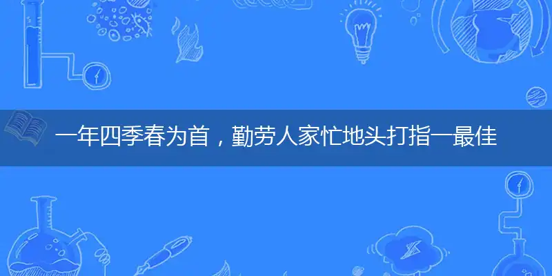 一年四季春为首，勤劳人家忙地头打指一最佳最佳生肖,独家释义词语解释!