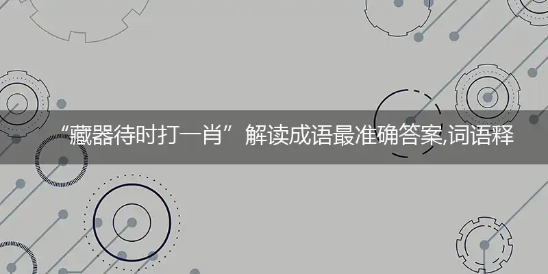 “藏器待时打一肖”解读成语最准确答案,词语释义解释
