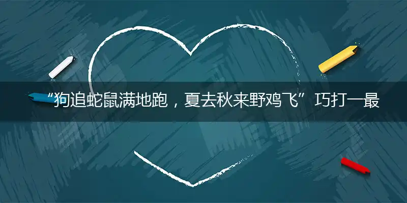 狗追蛇鼠满地跑，夏去秋来野鸡飞甄选成语解释落实