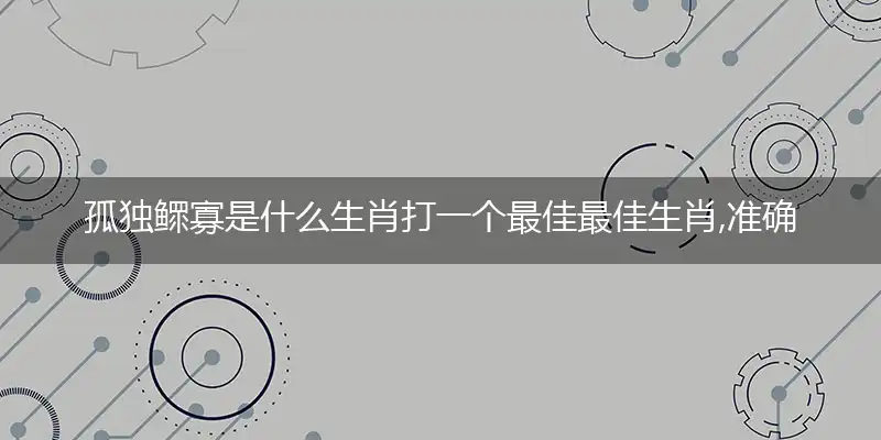 孤独鳏寡精选谜语作答解释词语
