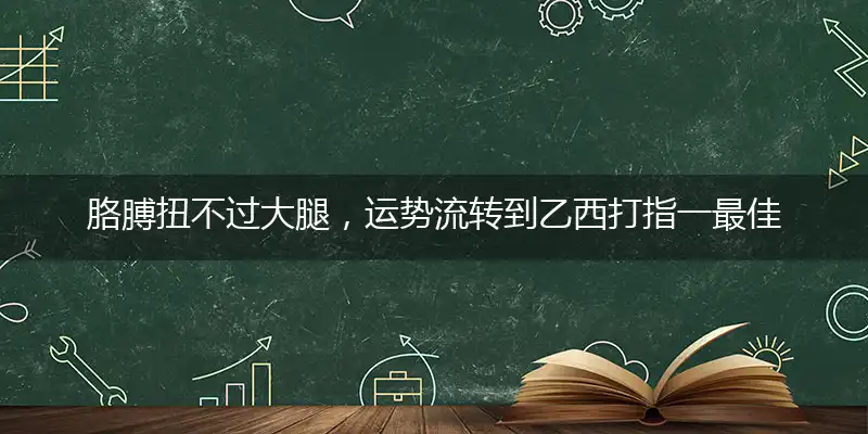 胳膊扭不过大腿，运势流转到乙西打指一最佳最佳生肖,独家释义词语解释!