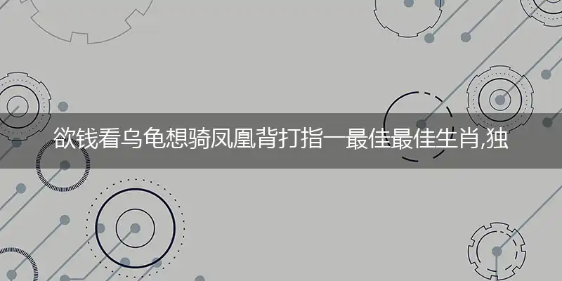 欲钱看乌龟想骑凤凰背猜解词语溯源解释
