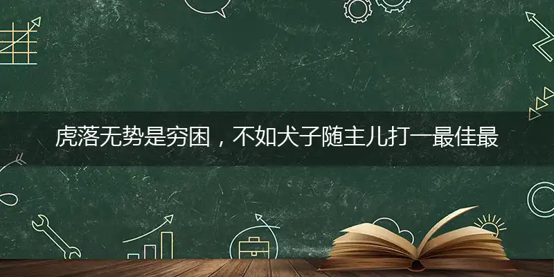 虎落无势是穷困，不如犬子随主儿打一最佳最佳生肖词语，释义分析成语解释