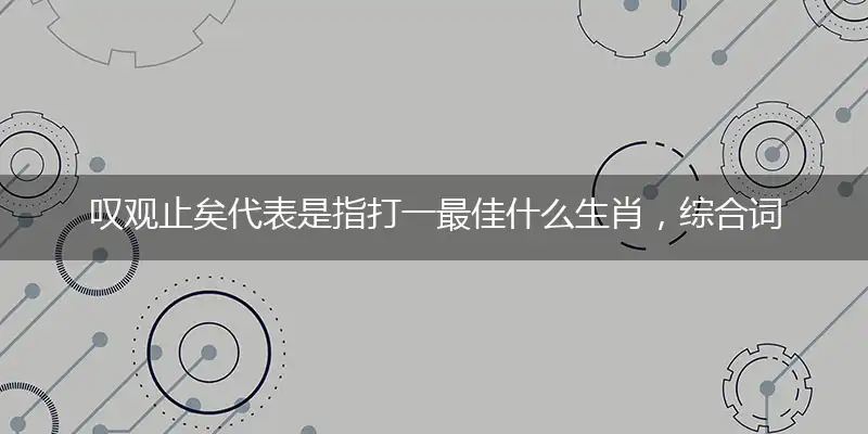 叹观止矣代表是指打一最佳什么生肖，综合词语阐述解答解释