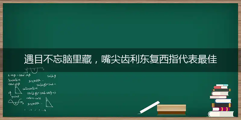 遇目不忘脑里藏，嘴尖齿利东复西指代表最佳什么生肖，释义作答谜底解释答案