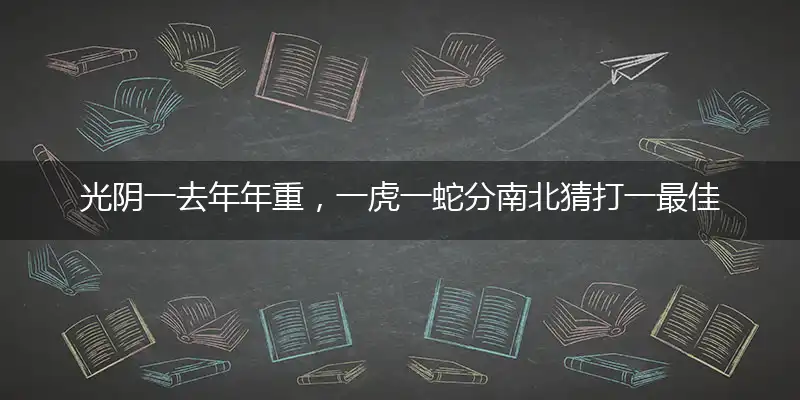光阴一去年年重，一虎一蛇分南北猜打一最佳准确代表什么生肖,解析独家哪一个词语精选解释释义