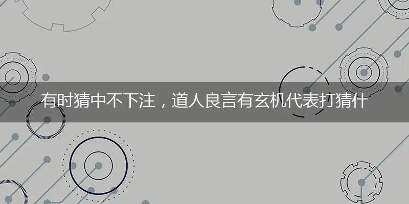 有时猜中不下注,道人良言有玄机代表打猜什么生肖,准确释义最佳成语解释